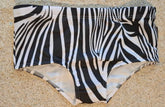 Black and White Traditional Swim Briefs